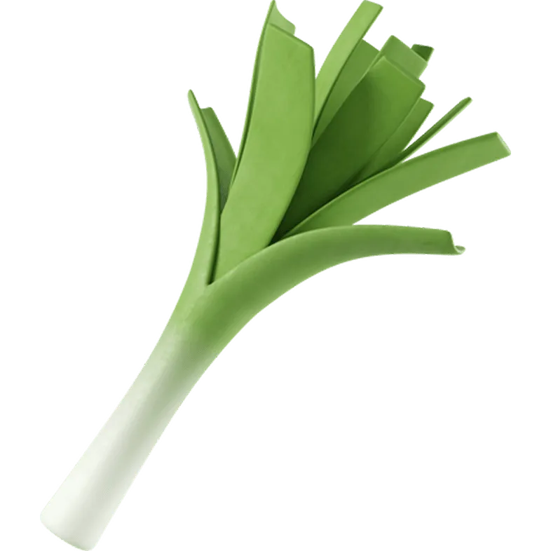 Студии йоги и фитнес-клубы